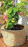 Jardini&egrave;res