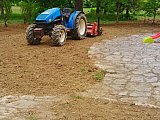 Gazon Traditionnel